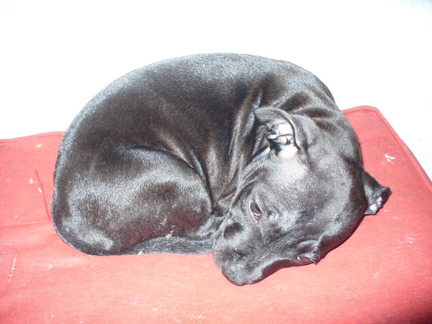P1020167.jpg