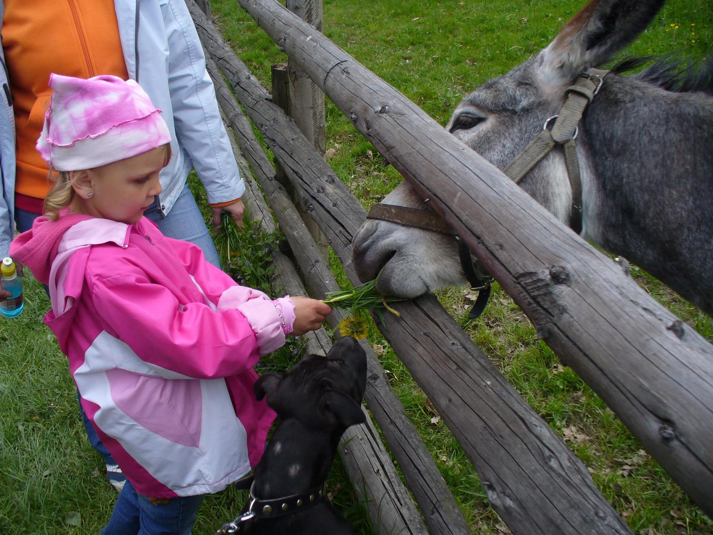 P1020450.jpg